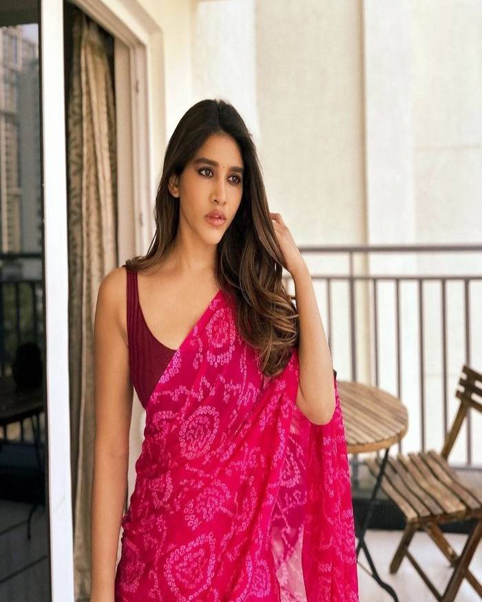 nabha natesh_teluguvox_13